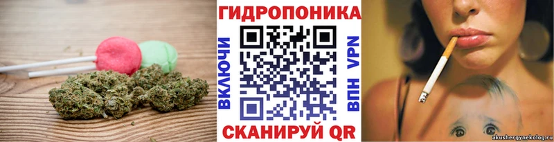 Cannafood конопля  Красный Холм 