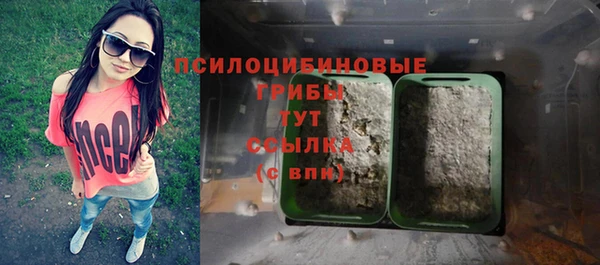 винт Лиски