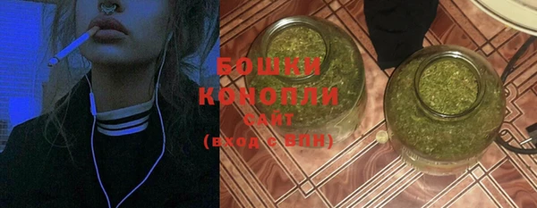 гашик Майский